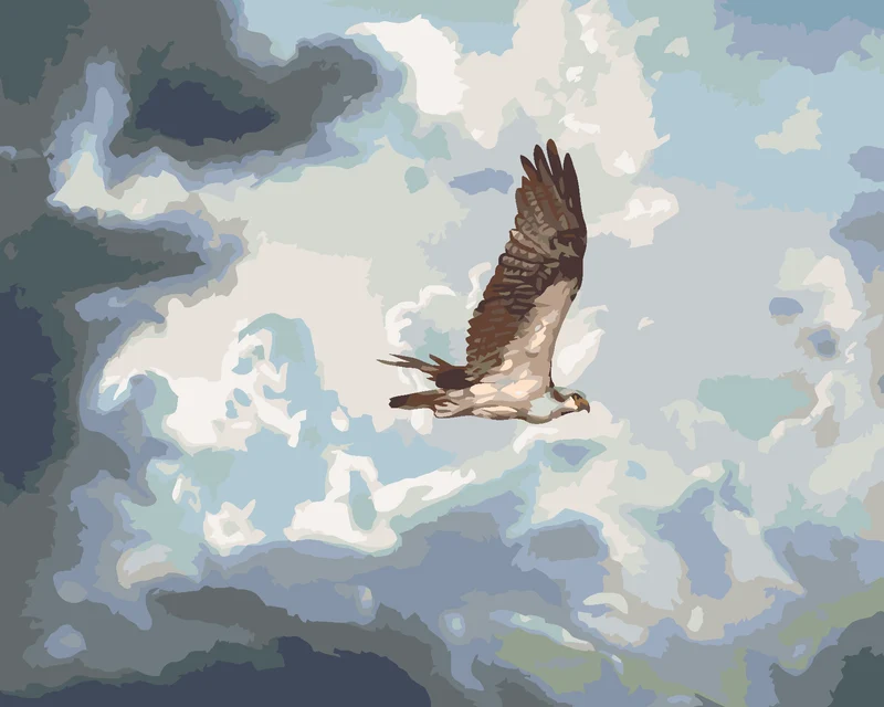 Diamond painting - ADLER IN DEN WOLKEN (D. RUSTY RUST)