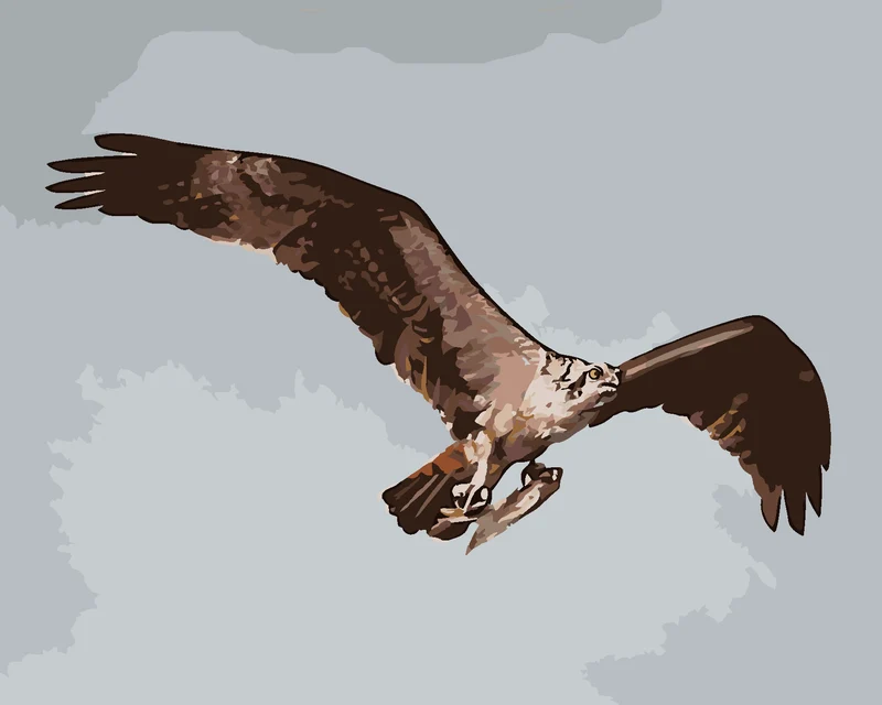Diamond painting - ADLER IM FLUG MIT BEUTE (D. RUSTY RUST)