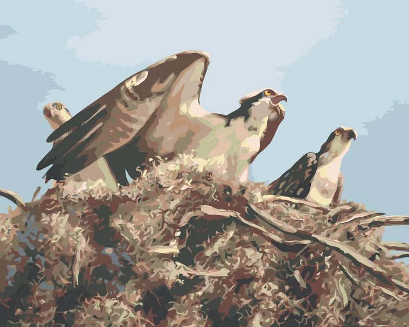 Diamond painting - ADLER IM NEST (D. RUSTY RUST)