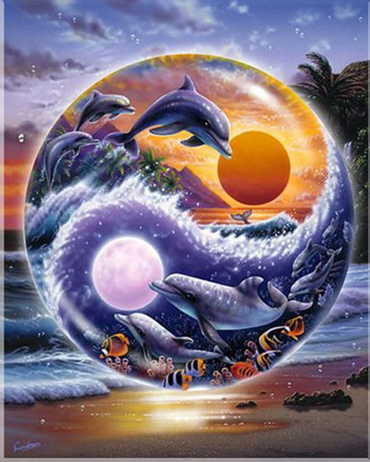 Yin and Yang Dolphins PIX-422