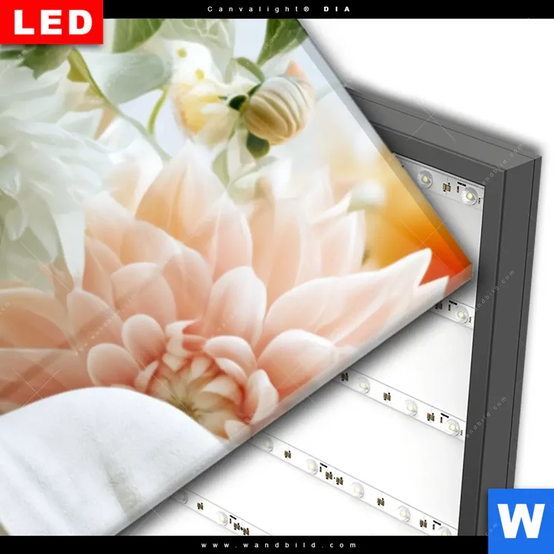 Wechselmotiv Acrylglas Canvalight® DIA | Buddha im Blütenglück | Panorama