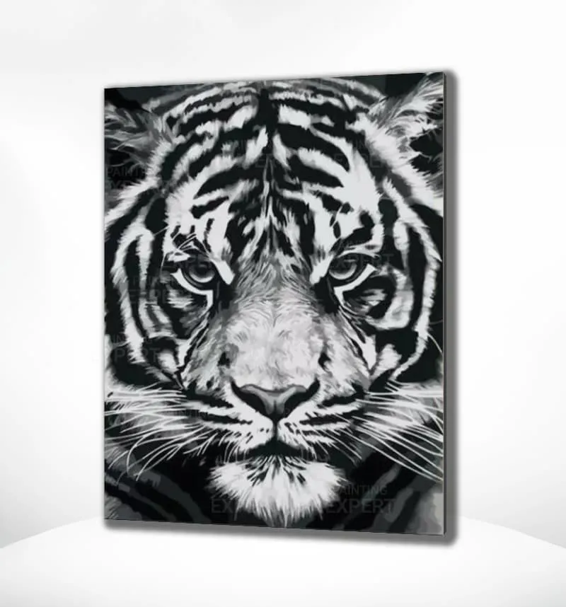 Malen nach Zahlen Tiger