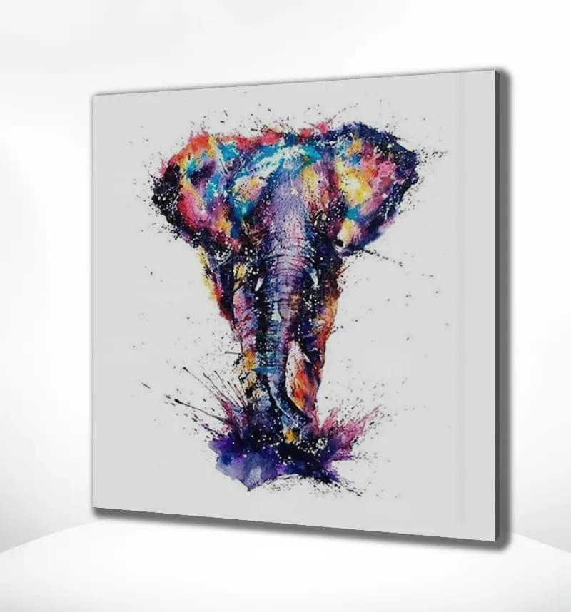 Malen nach Zahlen Elefant