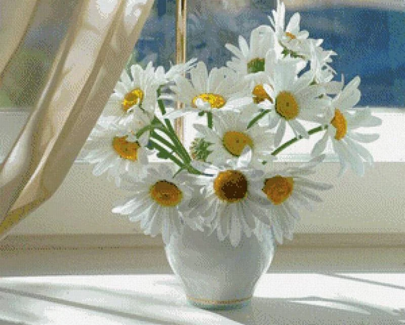 White Daisies PIX-163