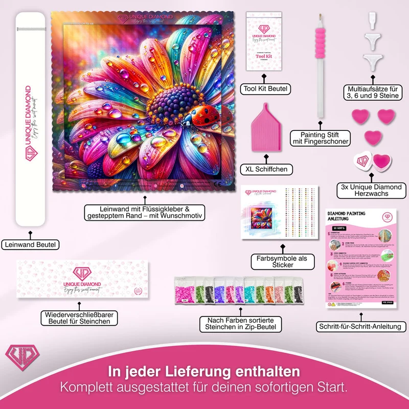 5D Diamond Painting – Regenbogenglühen mit Marienkäfer
