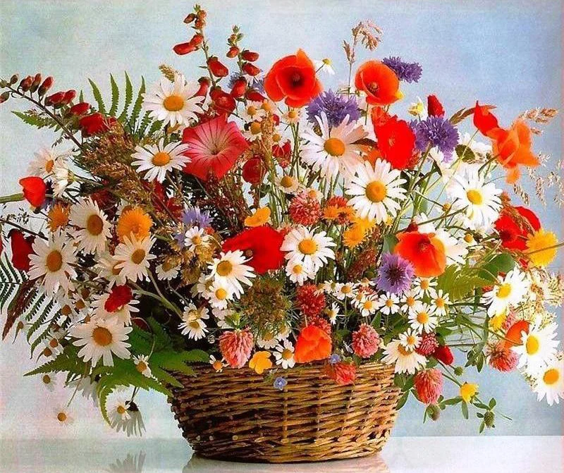Colorful Flowers And Flower Basket PIX-128