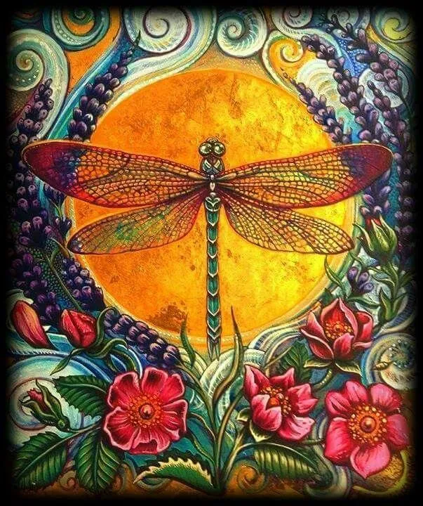 Dragonfly Colors Orange PIX-451