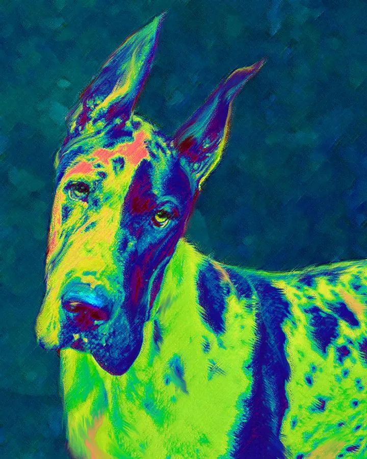Great Dane Color Green PIX-1183