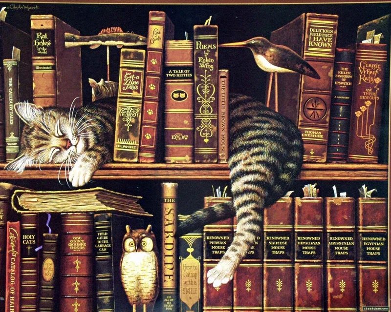 Cat PIX-1370