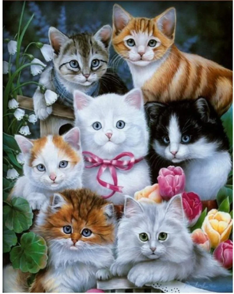 Cat PIX-1386