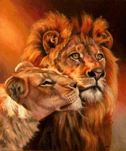 Lion And Tiger Colors Different PIX-419