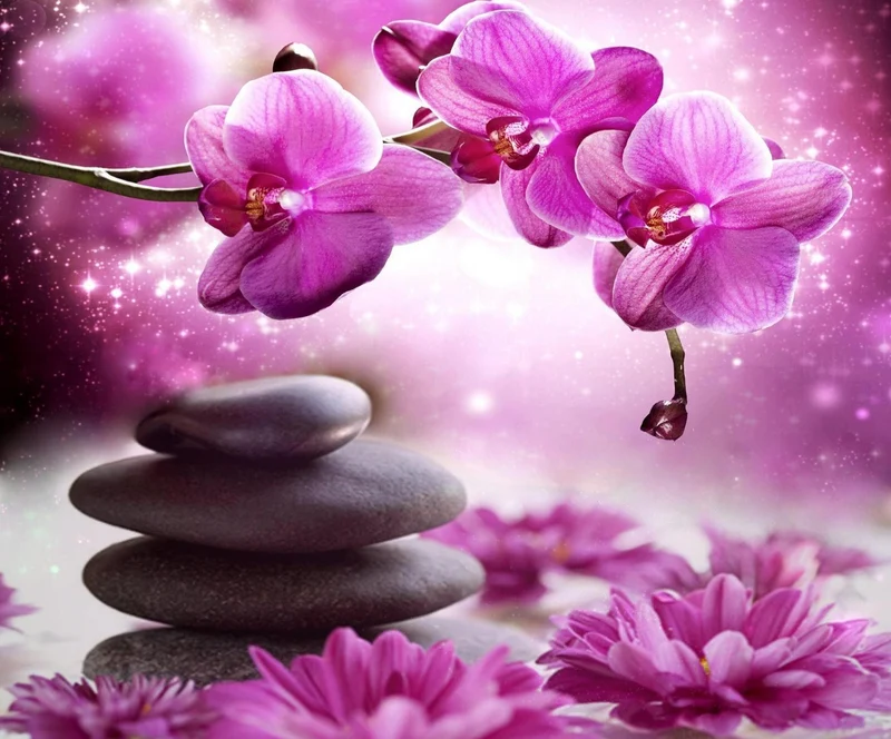 Flower PIX-698