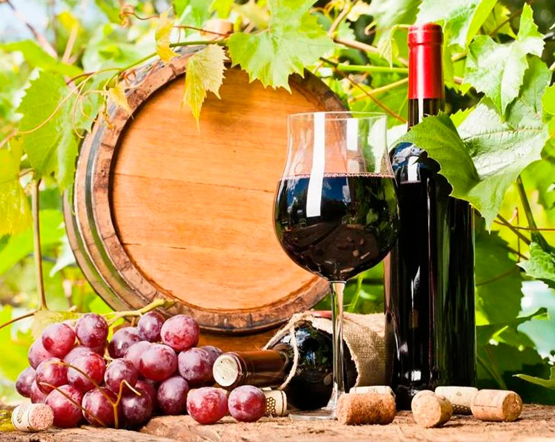 Fruit and wine PIX-164