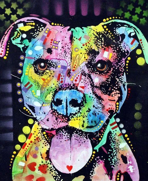 Pitbull Colorful PIX-564