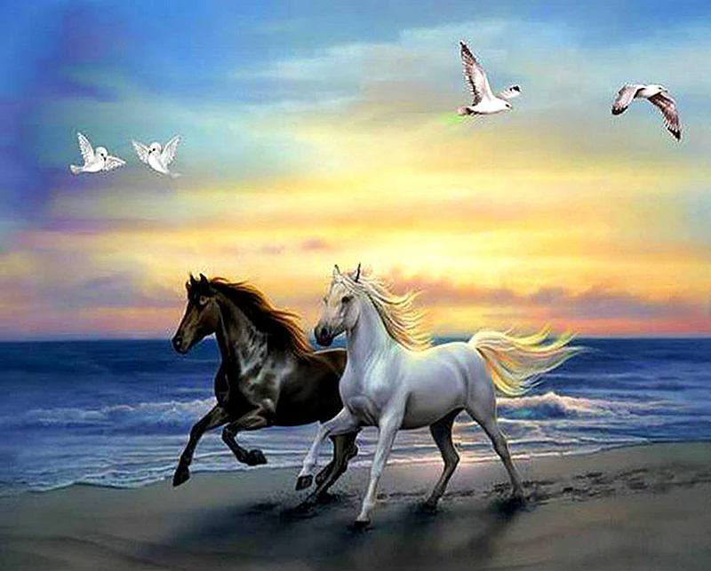 Run The Horse PIX-78