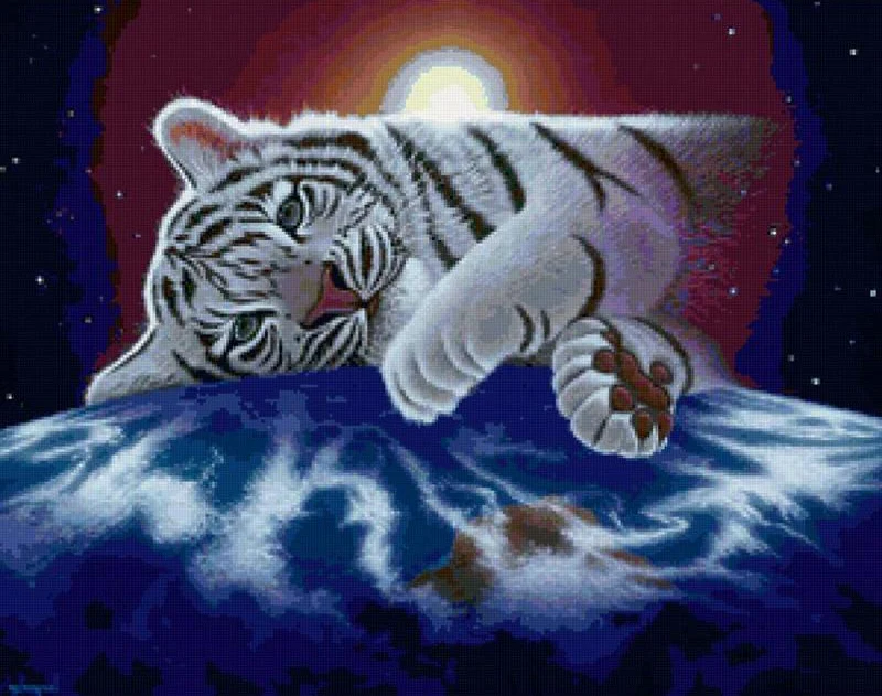 Little Tiger PIX-48