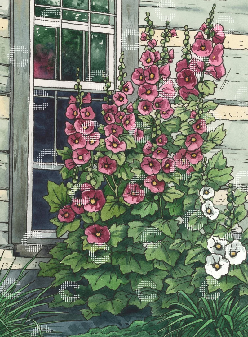 Diamond Painting - Evgeniya Brukish - Hollyhocks Idyll
