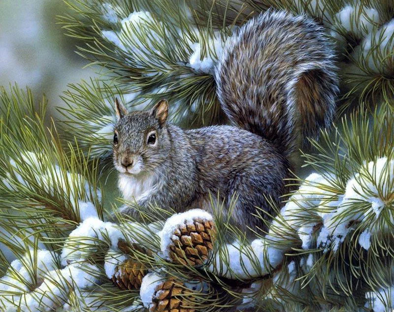 Squirrels Eat Fruit PIX-126