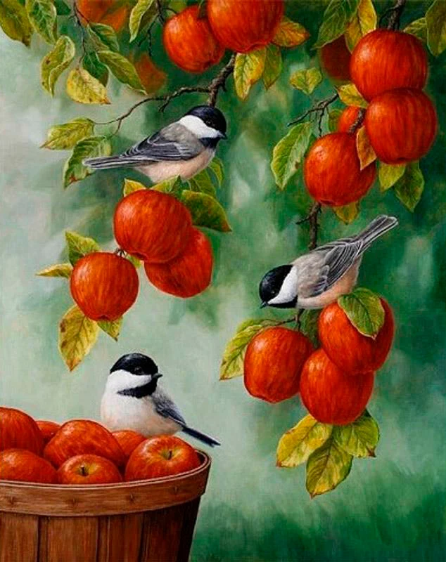 Apple Birds PIX-388