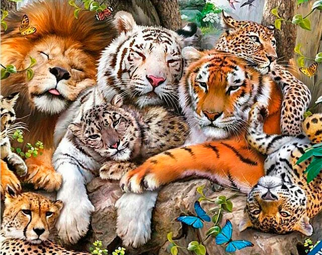 Lion Family Together PIX-413