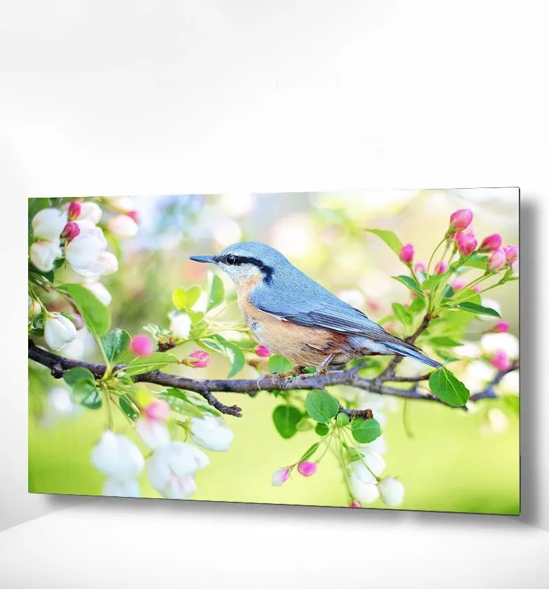 Malen nach Zahlen Blauer Vogel