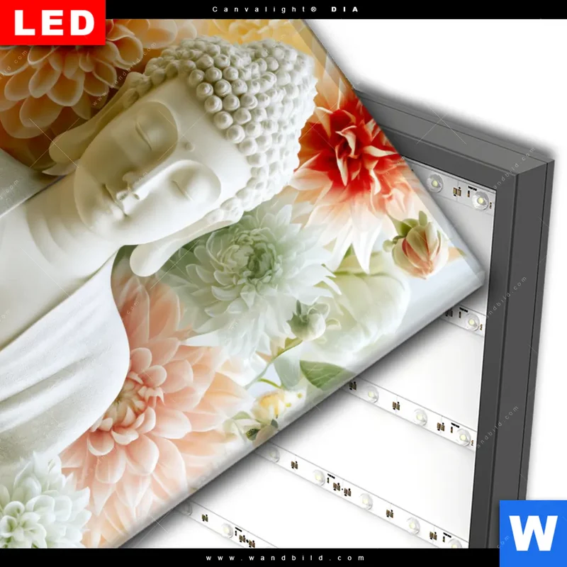 Wechselmotiv Acrylglas Canvalight® DIA | Buddha im Blütenglück | Quadrat
