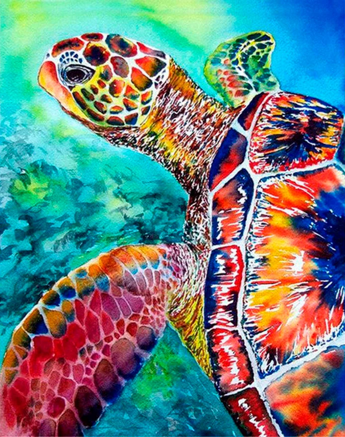 Turtle PIX-601