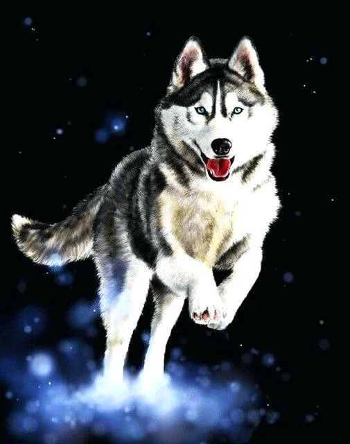 Husky Cut PIX-613