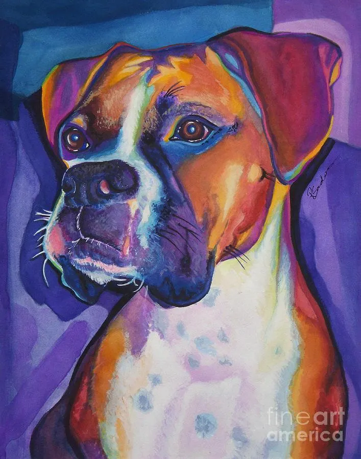 Boxer Colors PIX-325
