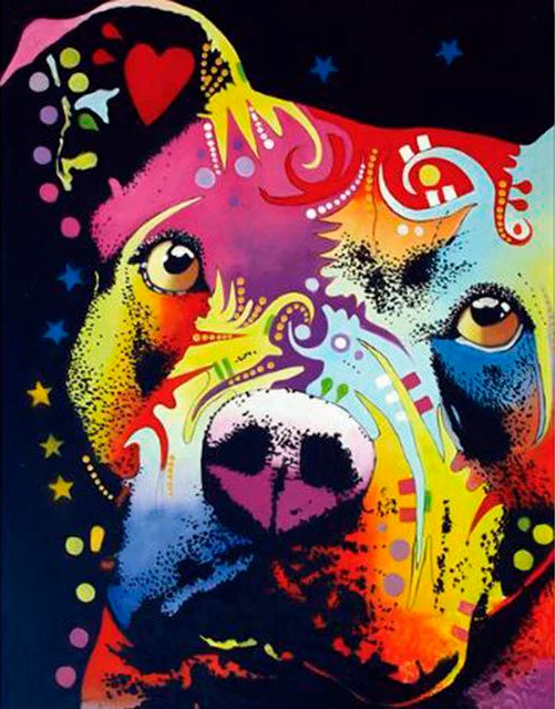 Pitbull Colors PIX-563