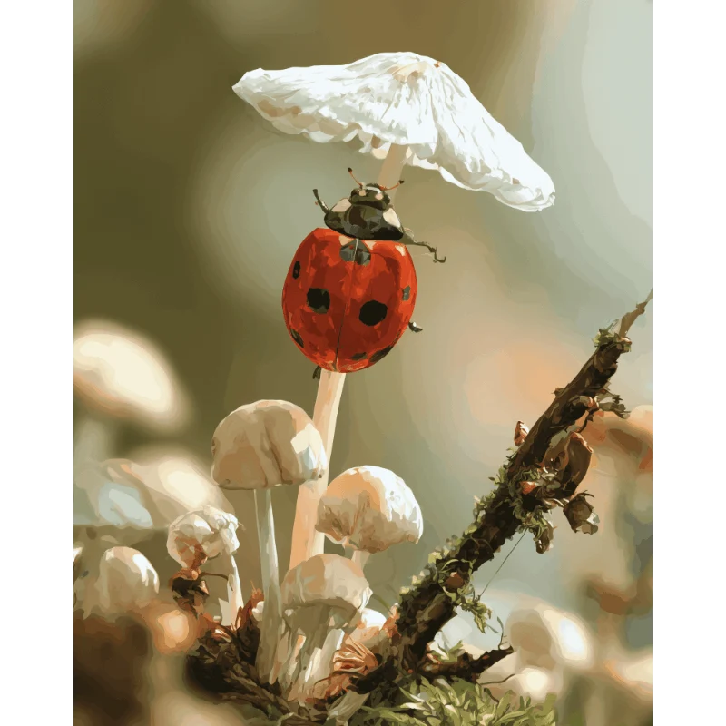 Marienkäfer auf dem Pilz
