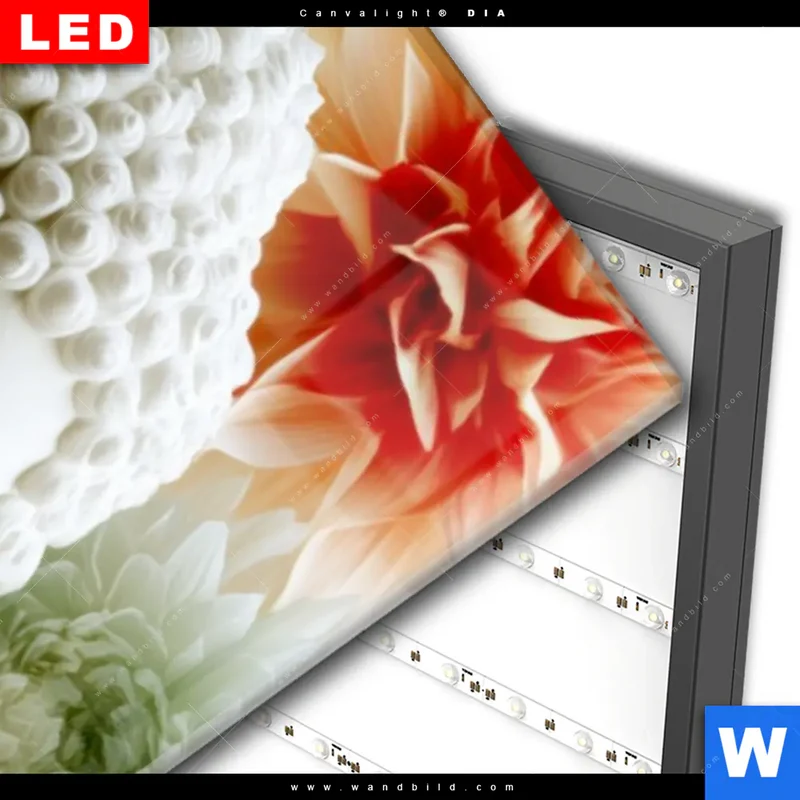 Wechselmotiv Acrylglas Canvalight® DIA | Buddha im Blütenglück | Schmal