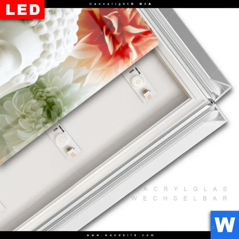 Leuchtbild Acrylglas Canvalight® DIA | Buddha im Blütenglück | Schmal