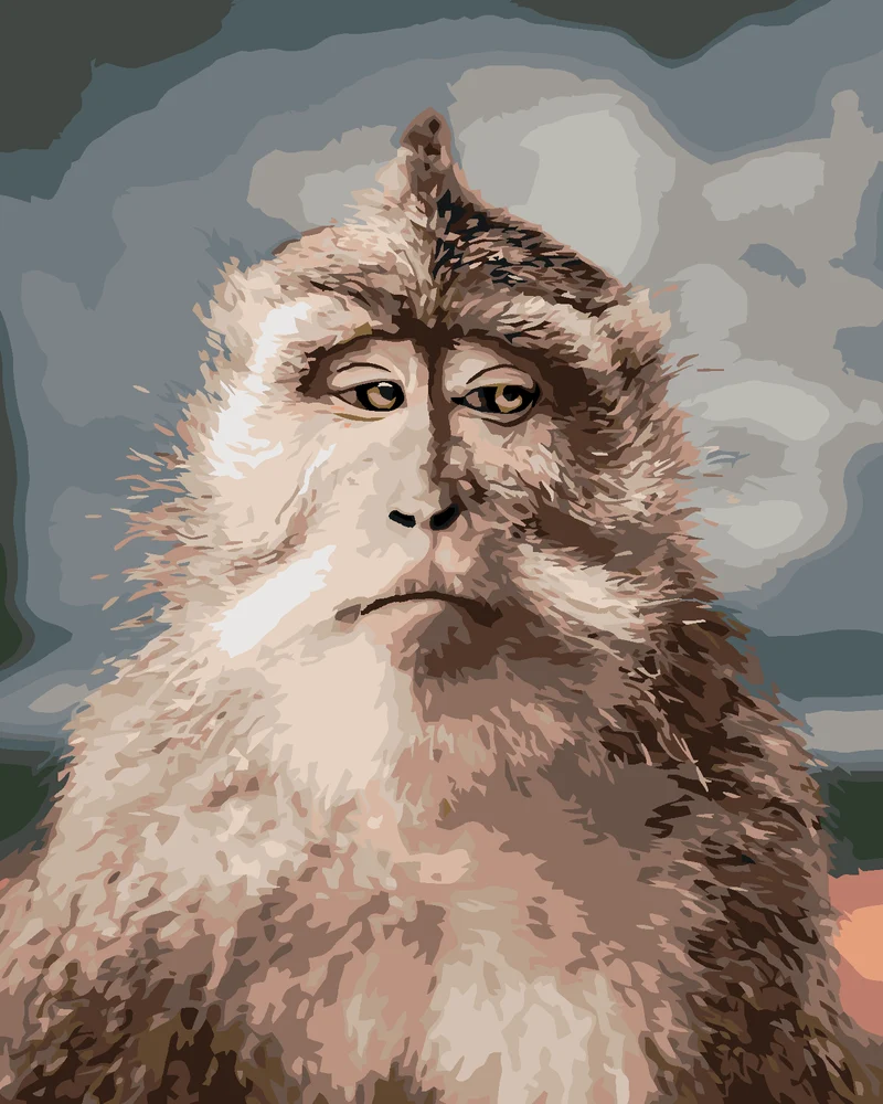 Diamond painting - AFFE MIT ERNSTEM GESICHT