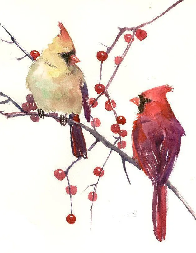 Cardinal Artist PIX-535