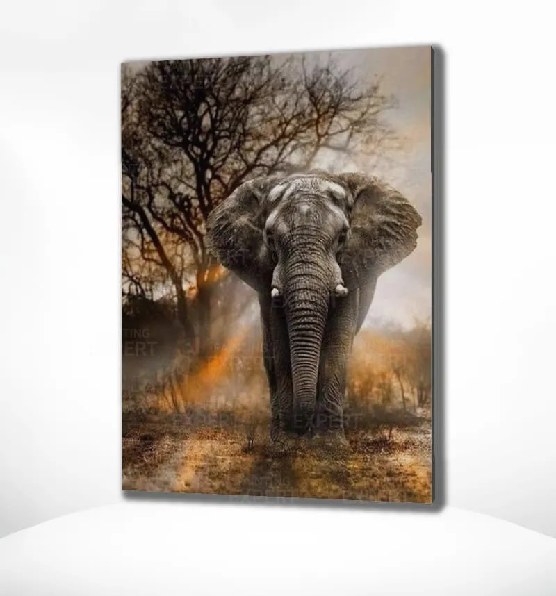 Malen nach Zahlen Elefant mit Sonnenuntergang