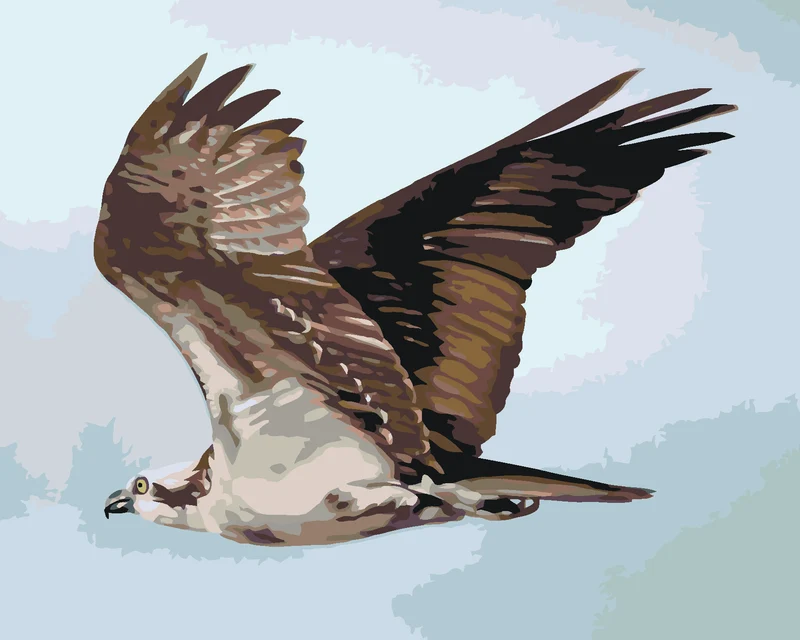 Diamond painting - ADLER IM FLUG (D. RUSTY RUST)