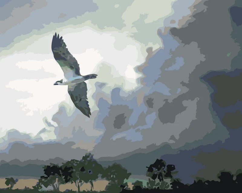 Diamond painting - ADLER IM FLUG UND GEWITTERWOLKEN (D. RUSTY RUST)
