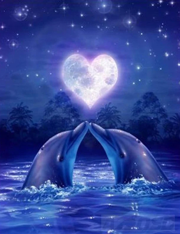 Dolphins PIX-84