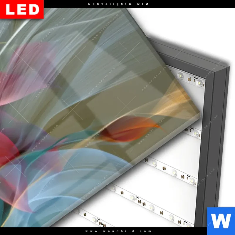 Wechselmotiv Acrylglas Canvalight® DIA | Leuchtende Lilienträume | Panorama