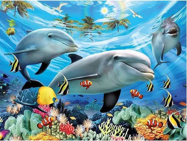 Dolphin Ocean PIX-423