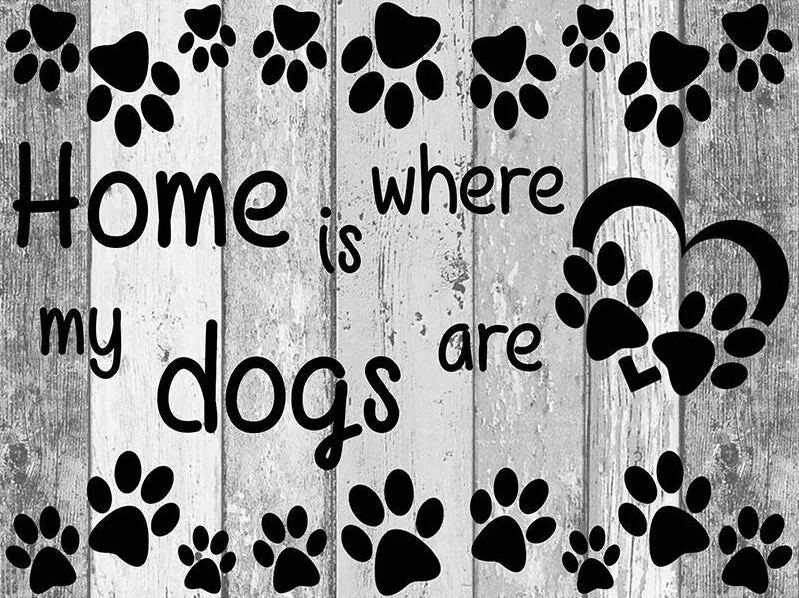 Home Is My Dogs are PIX-61