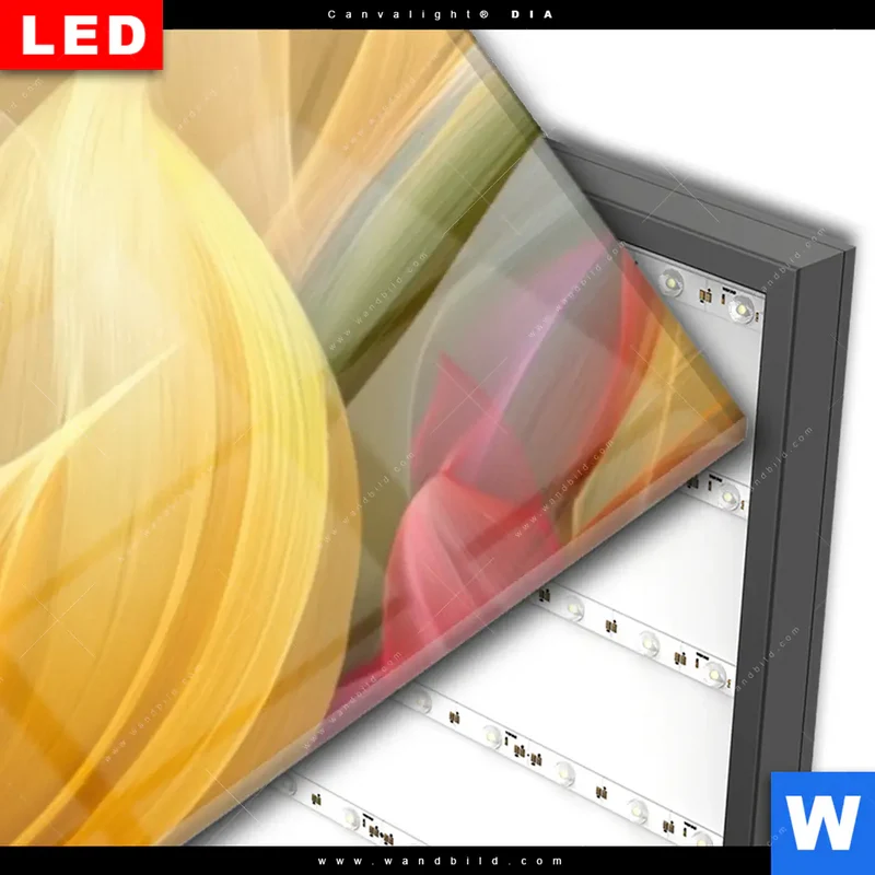 Wechselmotiv Acrylglas Canvalight® DIA | Leuchtende Lilienträume | Schmal