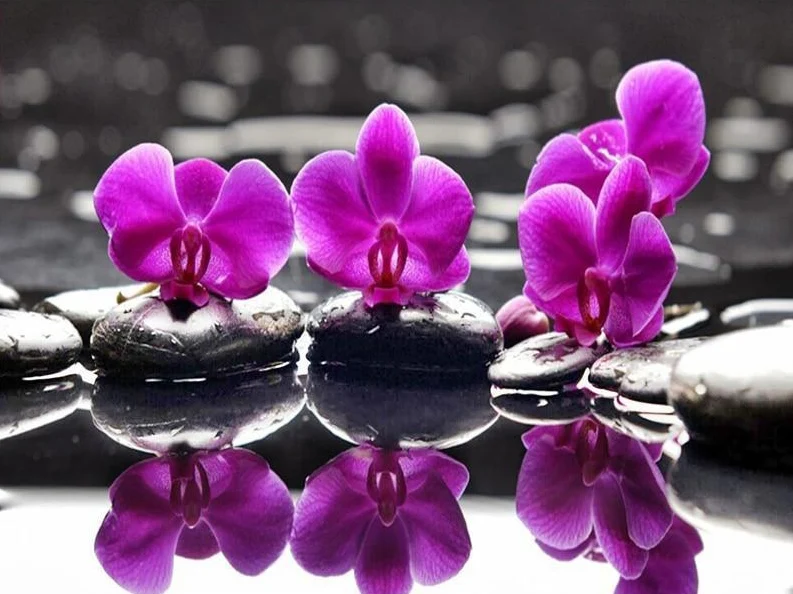 Flower In Water PIX-134