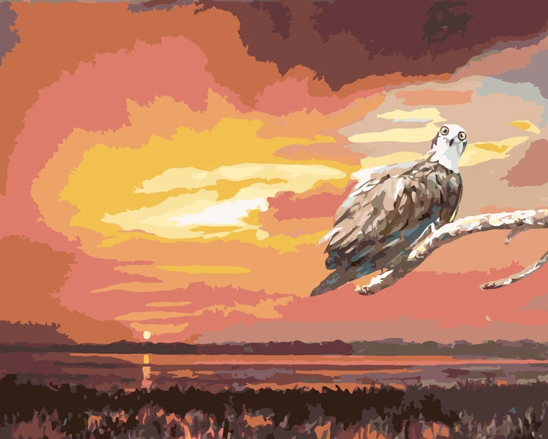 Diamond painting - ADLER AUF EINEM AST UND SONNENUNTERGANG (D. RUSTY RUST)