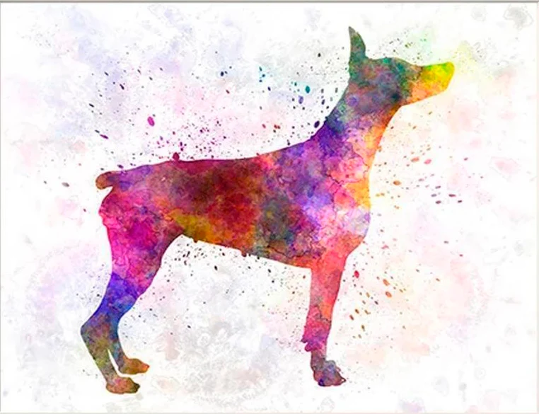 Doberman Colors PIX-624
