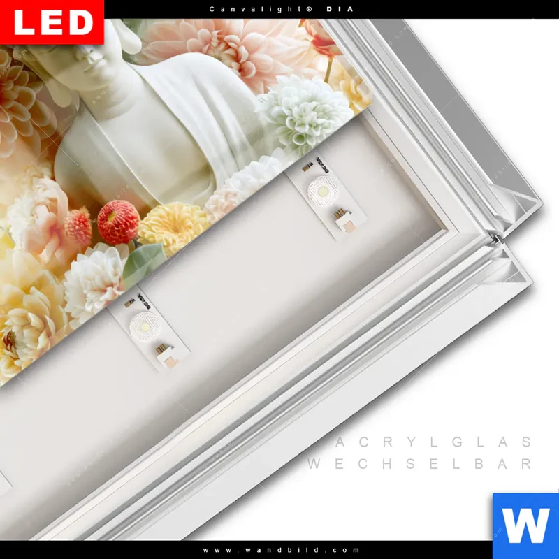 Leuchtbild Acrylglas Canvalight® DIA | Buddha im Blütenglück | Querformat