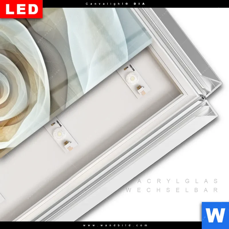 Leuchtbild Acrylglas Canvalight® DIA | Spirale der Leichtigkeit | Panorama