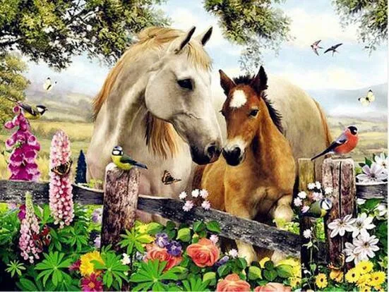 Horses Mon PIX-289