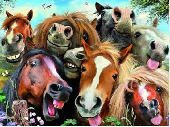 Horses Funny PIX-302